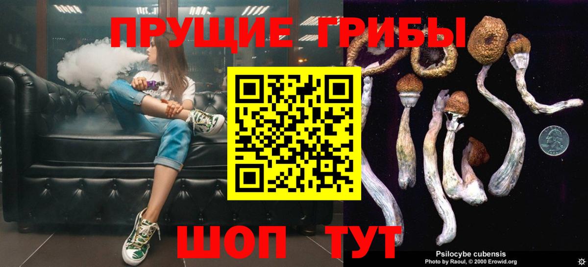 Соликамск  закладка  Вход с VPN  Псилоцибиновые грибы Psilocybine cubensis 